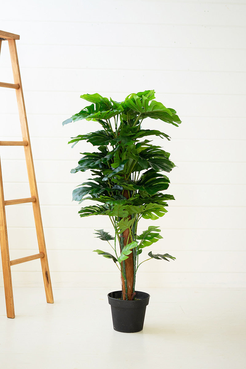 Artificial Monstera Plant in Plastic Pot