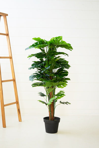 plastic monstera plant Artificial Monstera Plant in Plastic Pot